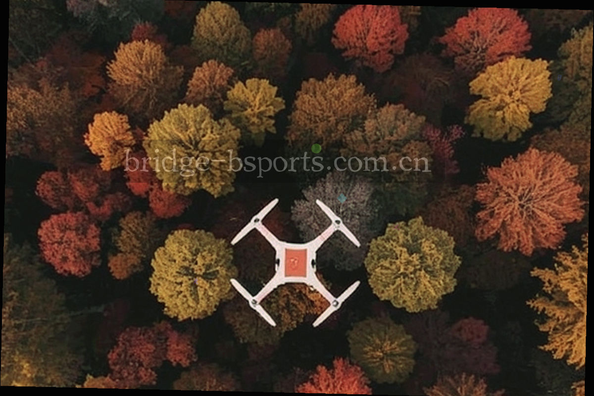设备与本地存储节点用细线连接的抽象示意图，表达收藏与联赛导航偏好在浏览器本地读写